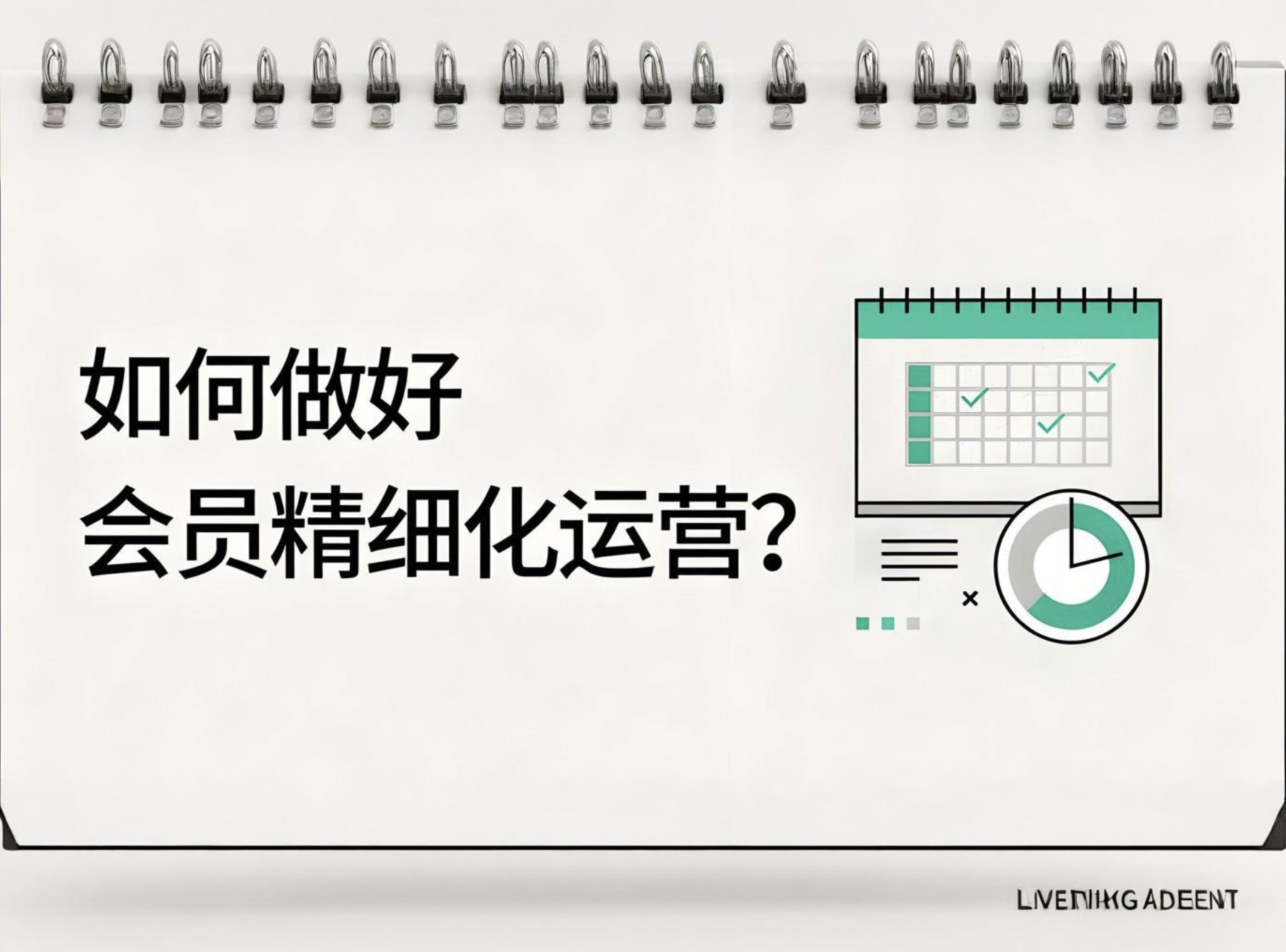 大循环体系成型，用户精细化运营与多渠道模式互补……